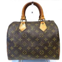 CBg Louis Vuitton mO Xs[fB25 M41528 obO nhobO jZbNX yÁz